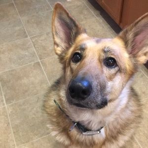 Meet your Posher, Arianna